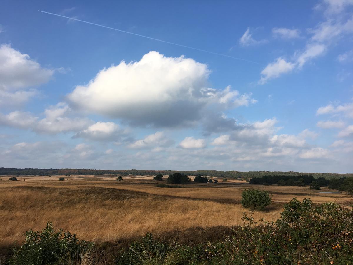 De Slaapfabriek Vakantiehuis En Trainingslocatie Teuge Exterior foto